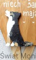 IMG_20260618_092310.jpg