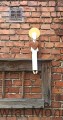 IMG_20260716_000604.jpg